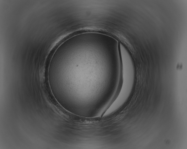 X0000090900484200708270947