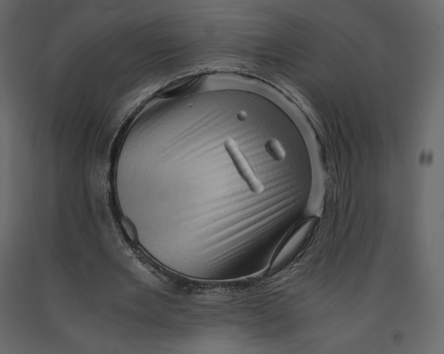 X0000090900485200708270947