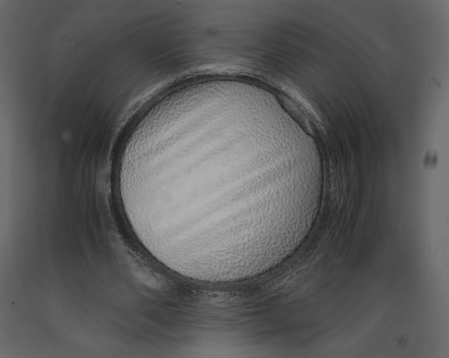 X0000090900486200708270947