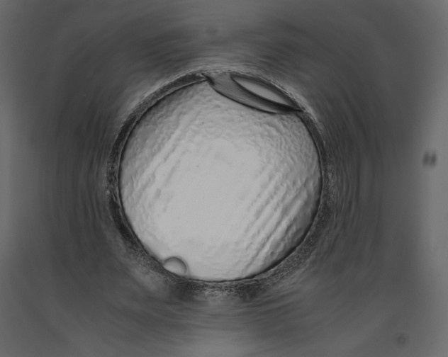 X0000090900487200708270947