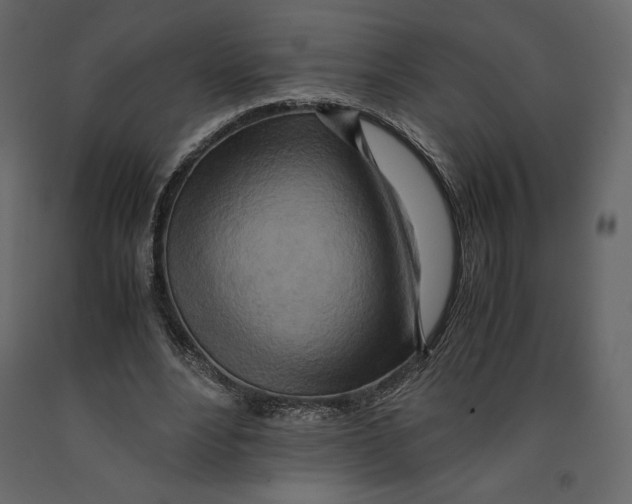 X0000090900488200708270947