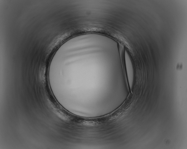 X0000090900490200708270947