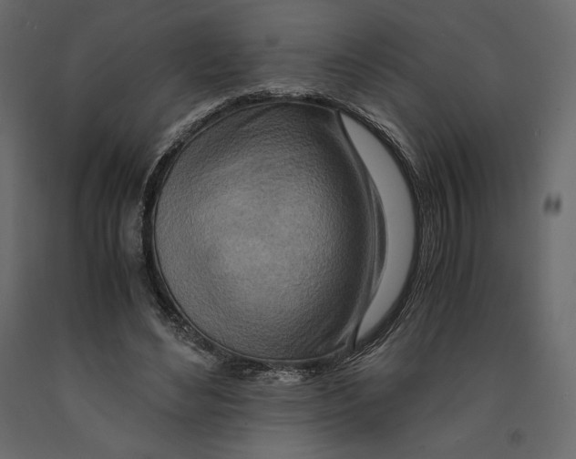 X0000090900492200708270947