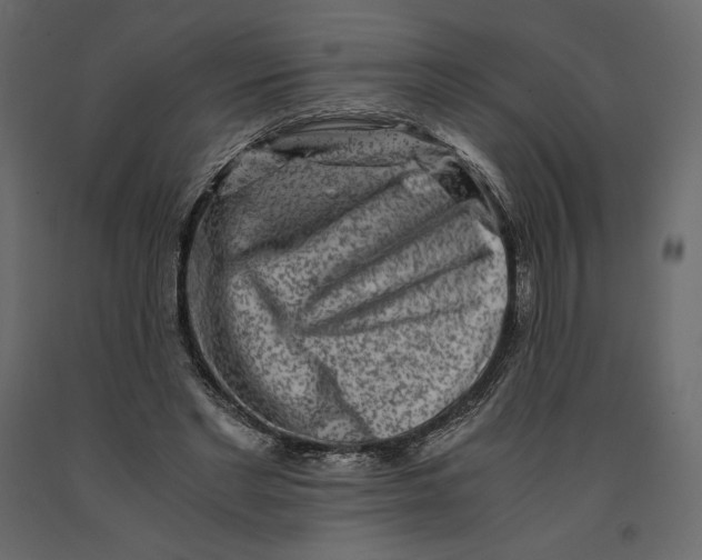 X0000090900493200708270947
