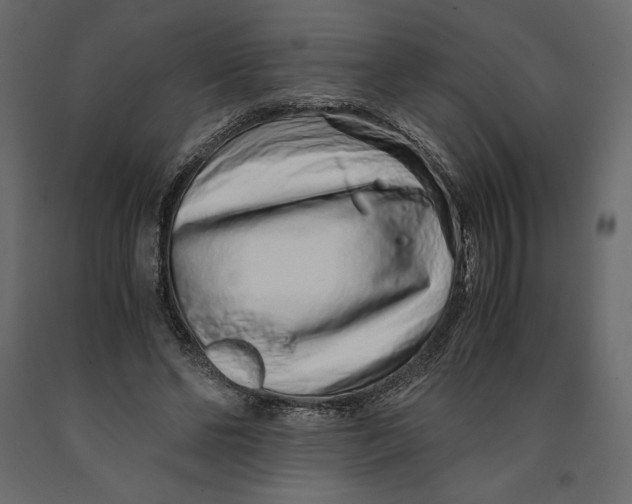 X0000090900494200708270947