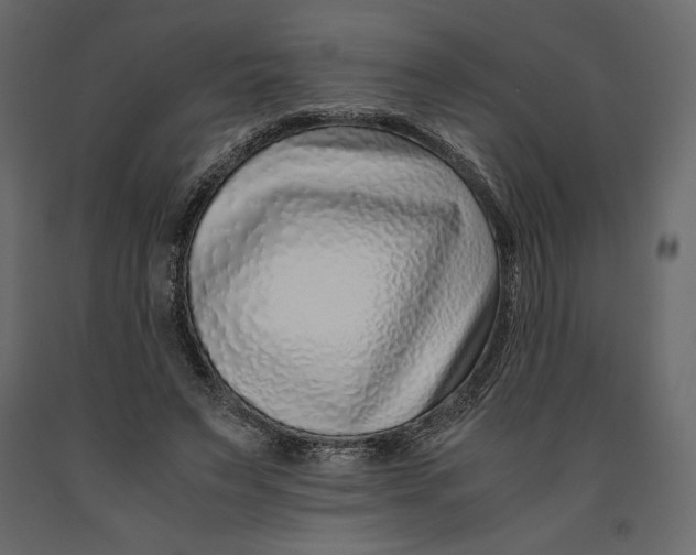 X0000090900495200708270947