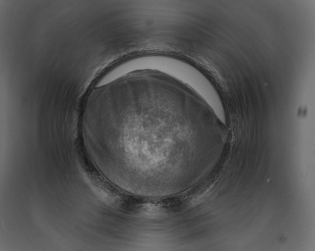 X0000090900496200708270947