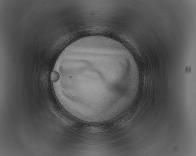 X0000090900498200708270947