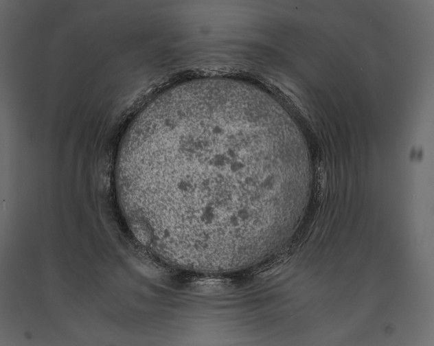 X0000090900499200708270947