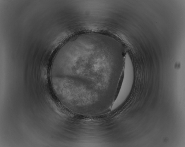 X0000090900500200708270947