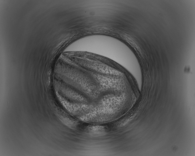 X0000090900501200708270947