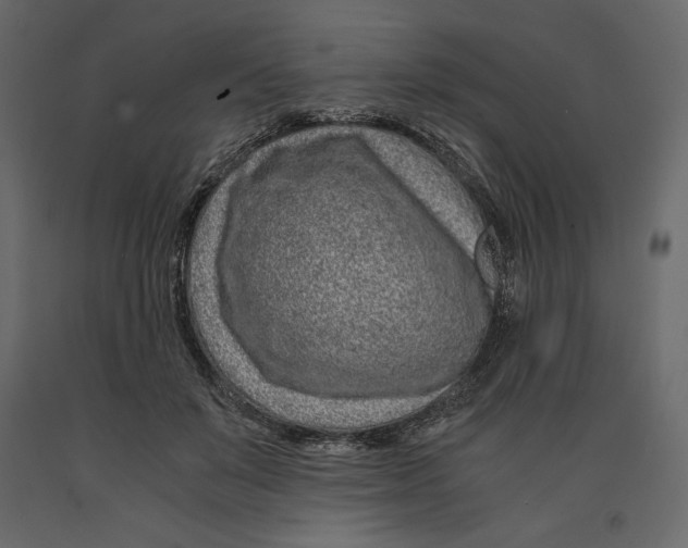 X0000090900503200708270947