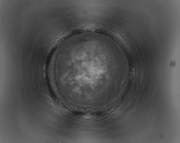 X0000090900504200708270947