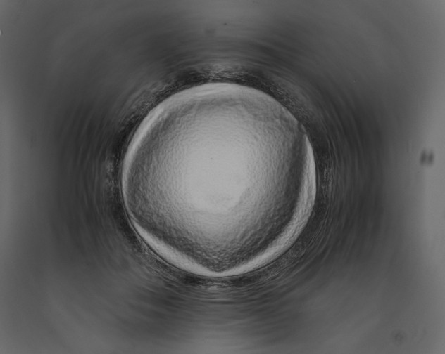 X0000090900506200708270947