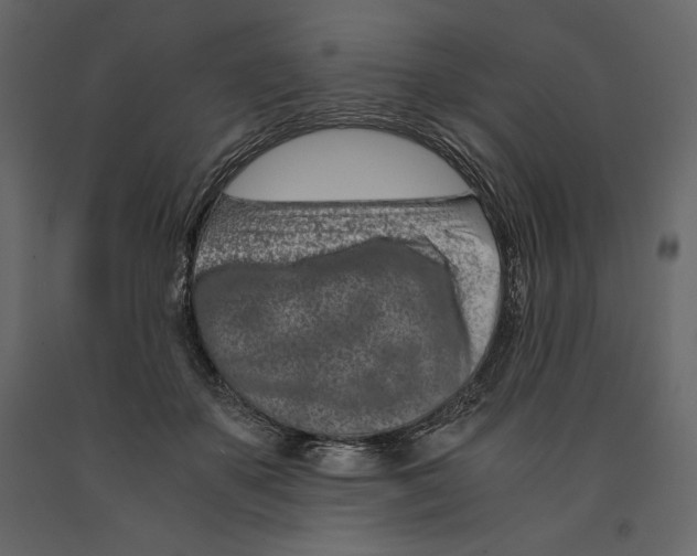 X0000090900507200708270947