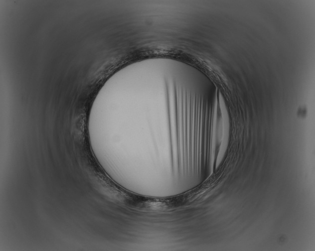 X0000090900509200708270947