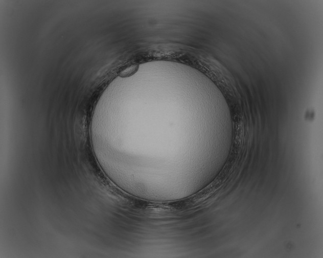 X0000090900510200708270947