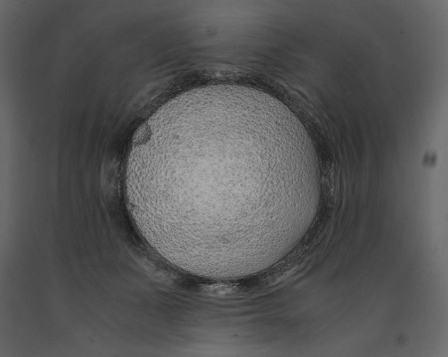 X0000090900511200708270947