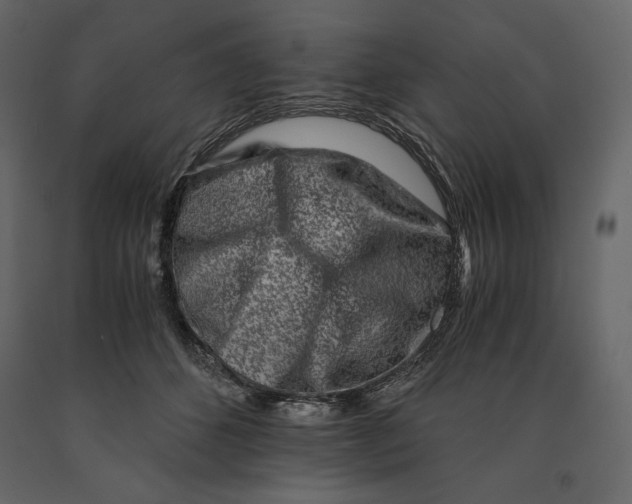 X0000090900512200708270947