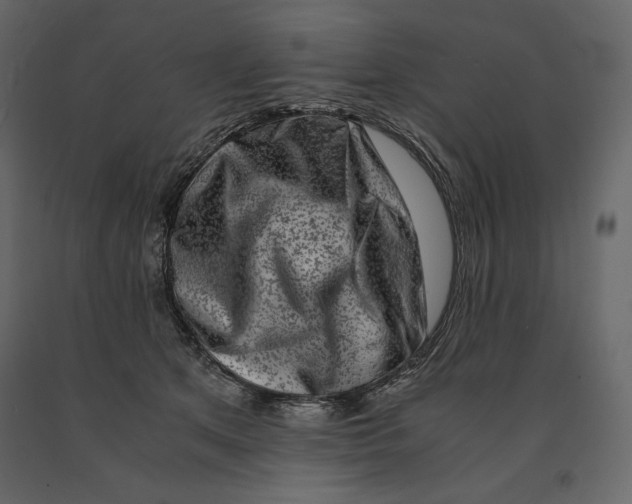 X0000090900513200708270947