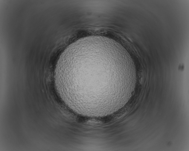 X0000090900515200708270947