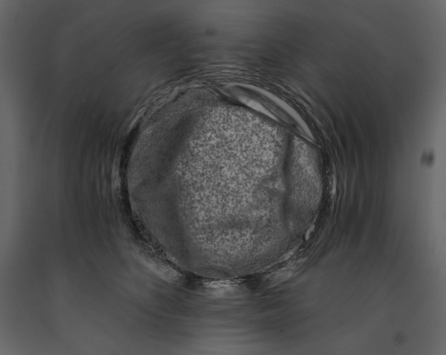 X0000090900516200708270947