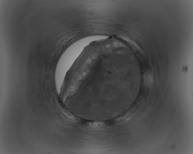 X0000090900517200708270947