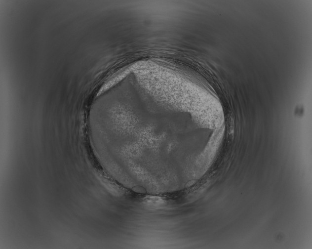 X0000090900519200708270947