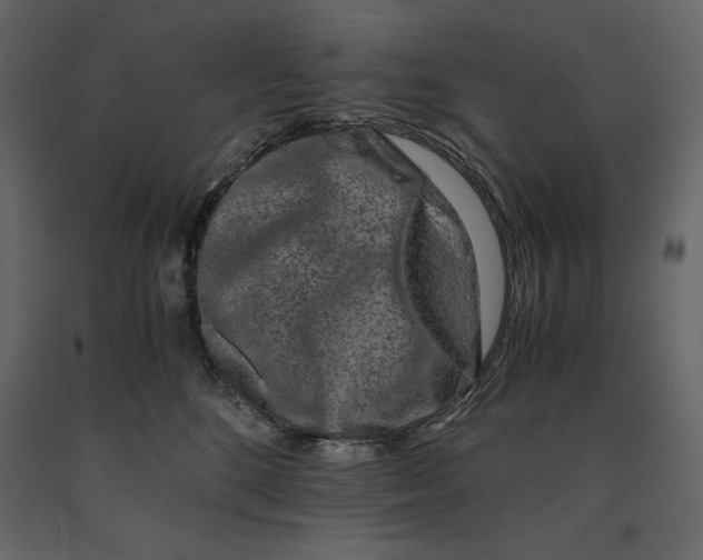 X0000090900520200708270947