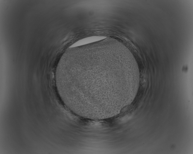 X0000090900523200708270947