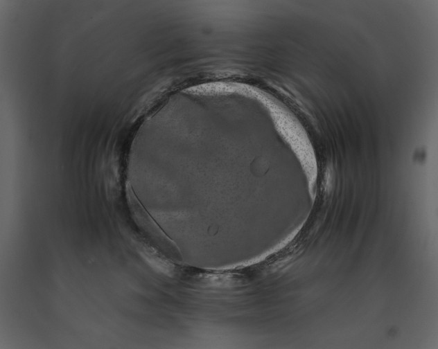 X0000090900524200708270947
