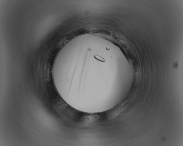 X0000090900525200708270947