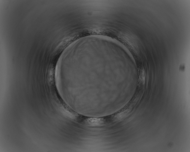 X0000090900526200708270947