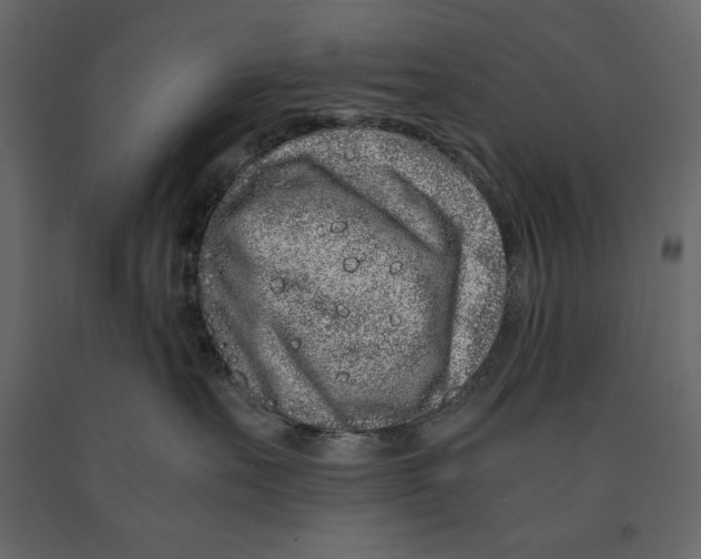 X0000090900527200708270947