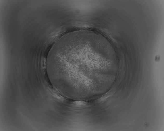 X0000090900528200708270947