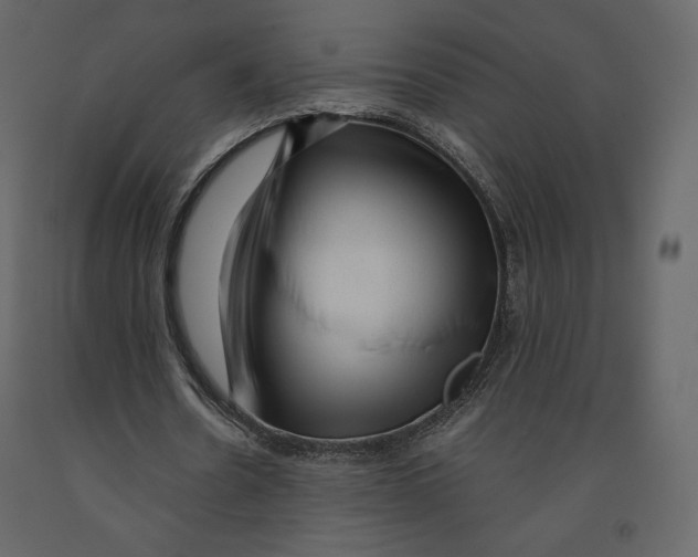 X0000090900530200708270946