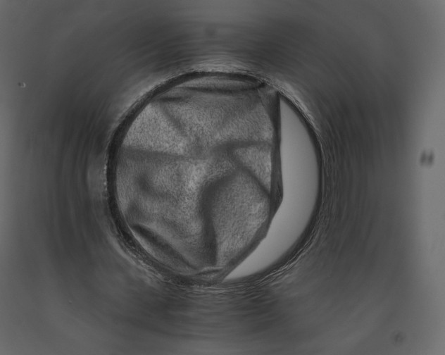 X0000090900531200708270946