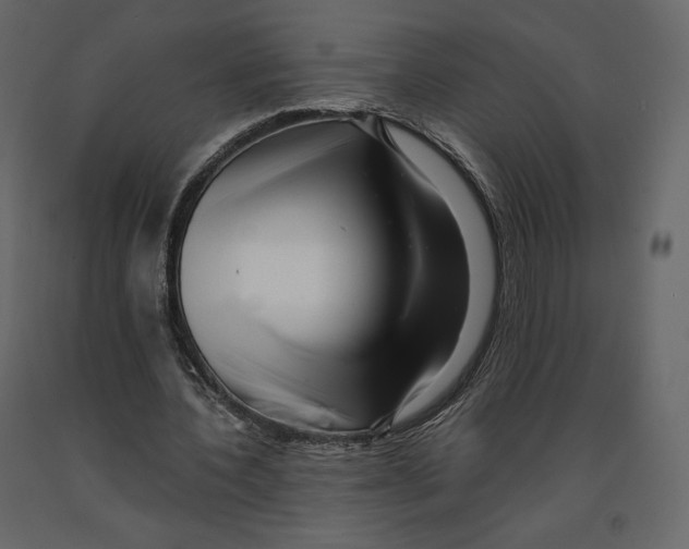 X0000090900532200708270946