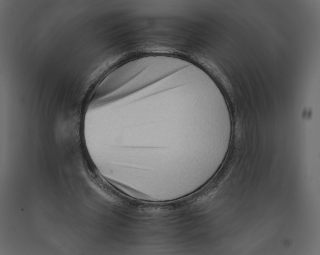 X0000090900533200708270946