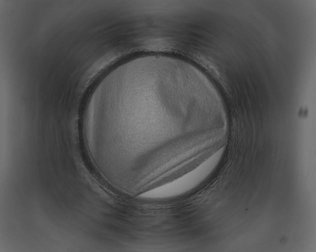 X0000090900535200708270946