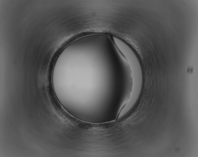 X0000090900536200708270946