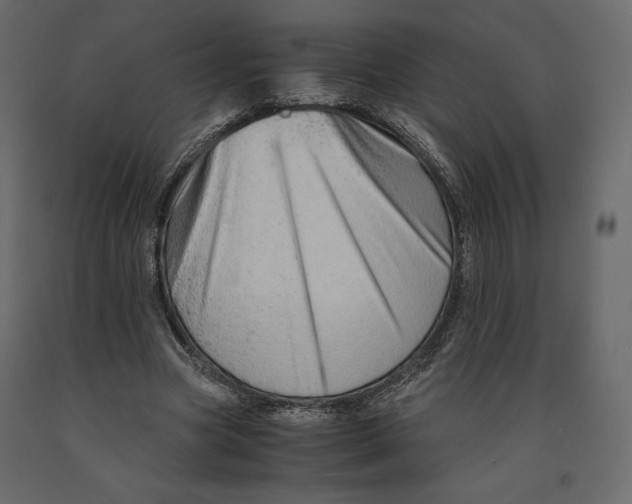 X0000090900537200708270946