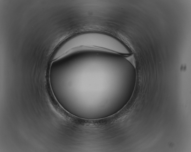 X0000090900538200708270946