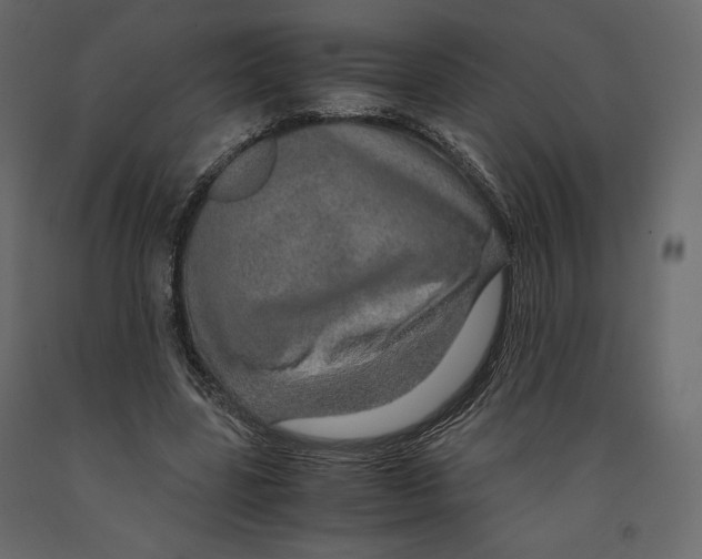 X0000090900539200708270946