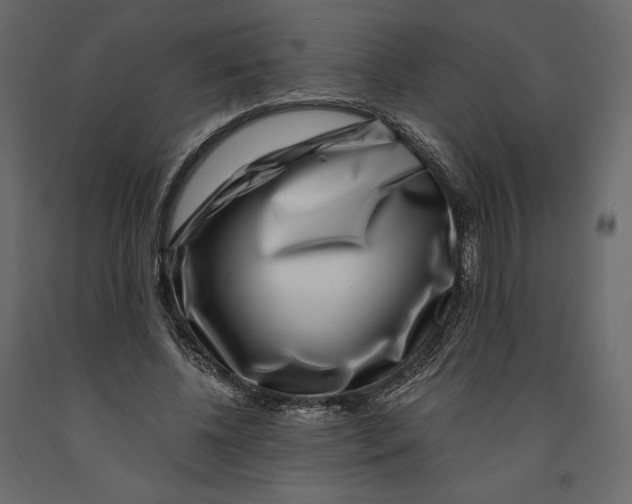 X0000090900540200708270946