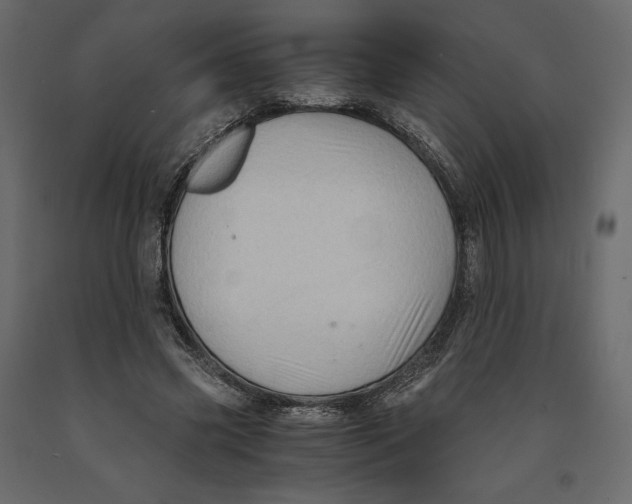 X0000090900541200708270946