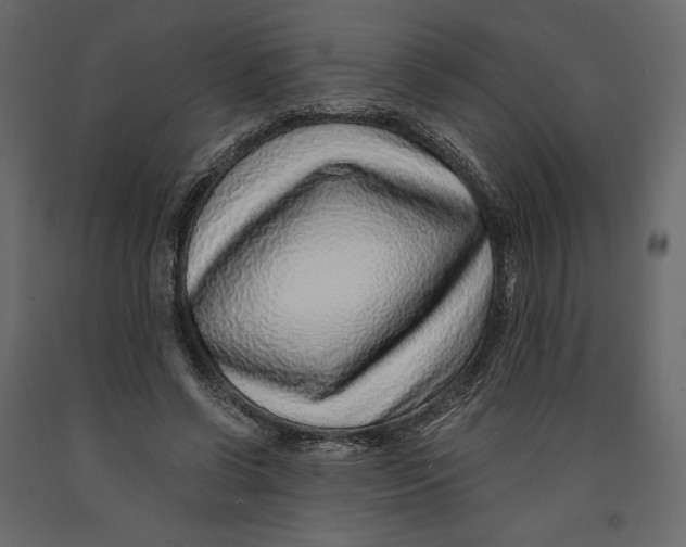 X0000090900542200708270946
