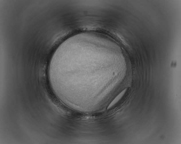 X0000090900543200708270946