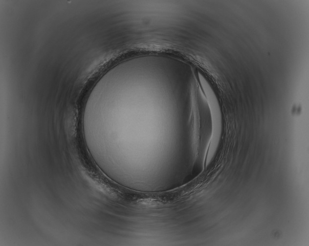 X0000090900544200708270946