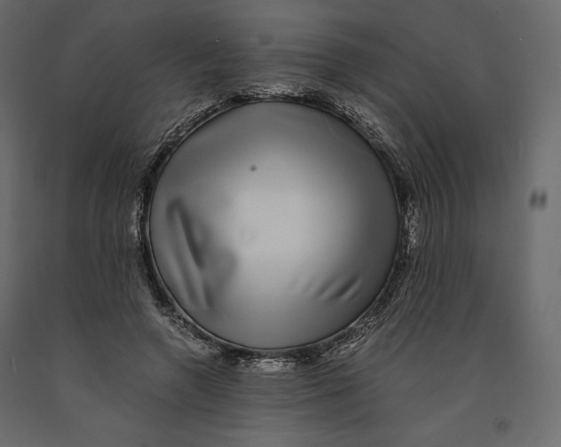 X0000090900546200708270946